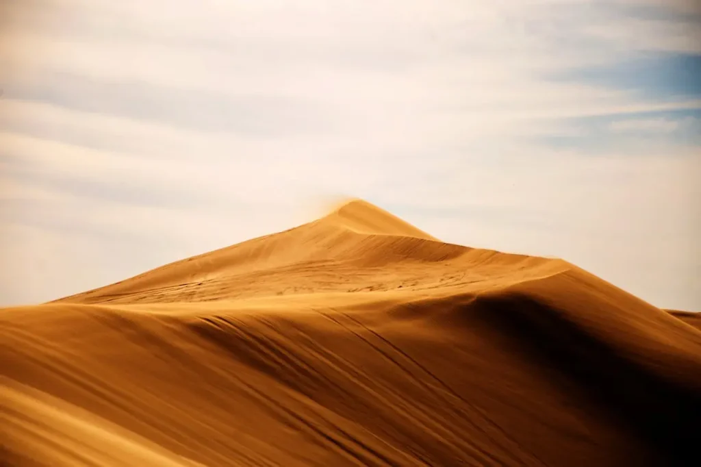 where's the world’s largest desert? , where is the world's largest desert lake situated, largest desert lake in the world, top 10 biggest desert in the world, Can you tour the sahara desert?, What animal lives in the sahara desert?, Can you travel to the sahara desert?, Largest desert in the world in which country, Largest desert in the world Antarctica or Sahara, Largest hot desert in the world, 2nd largest desert in the world, Biggest sand desert in the world, Sahara is the largest desert in the world