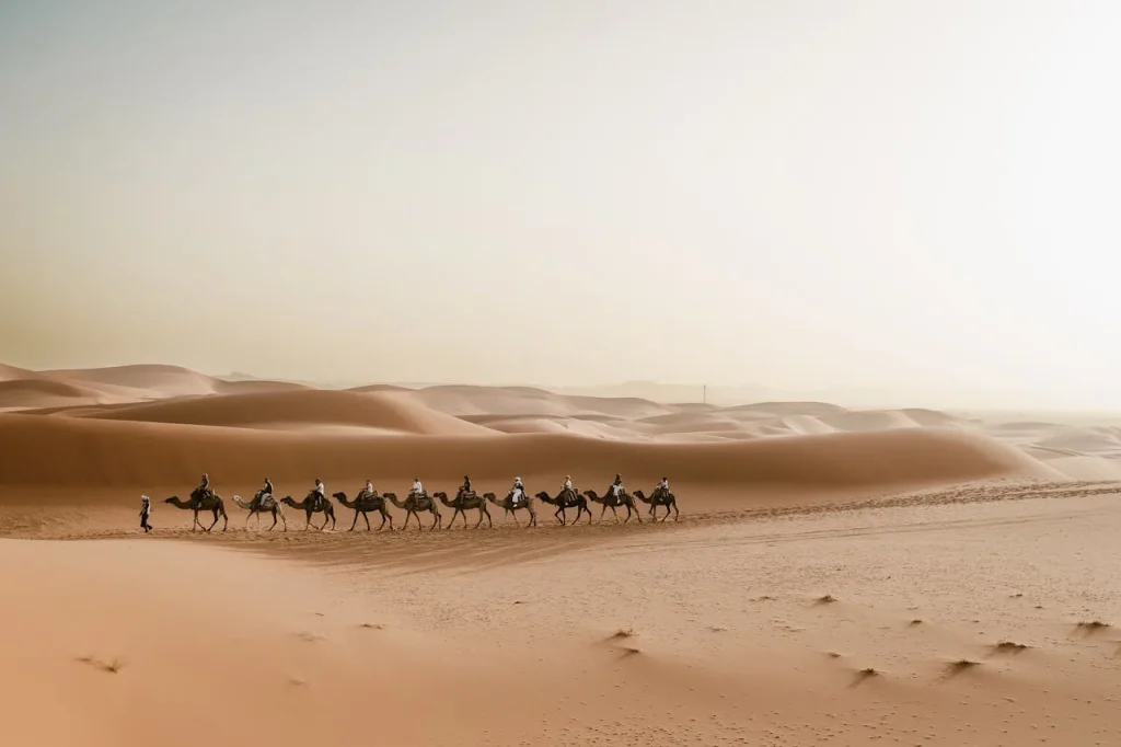 where's the world’s largest desert? , where is the world's largest desert lake situated, largest desert lake in the world, top 10 biggest desert in the world, Can you tour the sahara desert?, What animal lives in the sahara desert?, Can you travel to the sahara desert?, Largest desert in the world in which country, Largest desert in the world Antarctica or Sahara, Largest hot desert in the world, 2nd largest desert in the world, Biggest sand desert in the world, Sahara is the largest desert in the world
